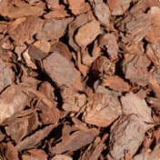 Wood bark