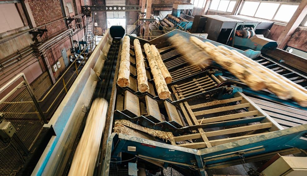 Spruce and pine timber of wide application