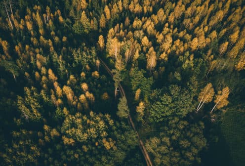 Impact on the environment