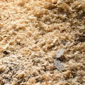 Sawdust